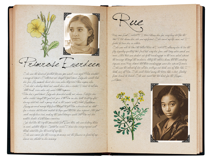 to District 12 Mockingjay Pt2 Countdown Chapter 27