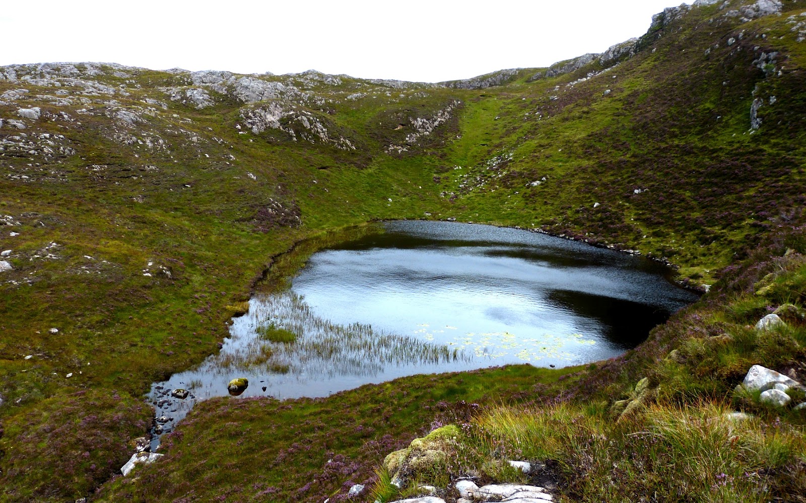 A Kilchoan Diary: Five Lochans and a Beinn - 2 diagram of lily of the valley 