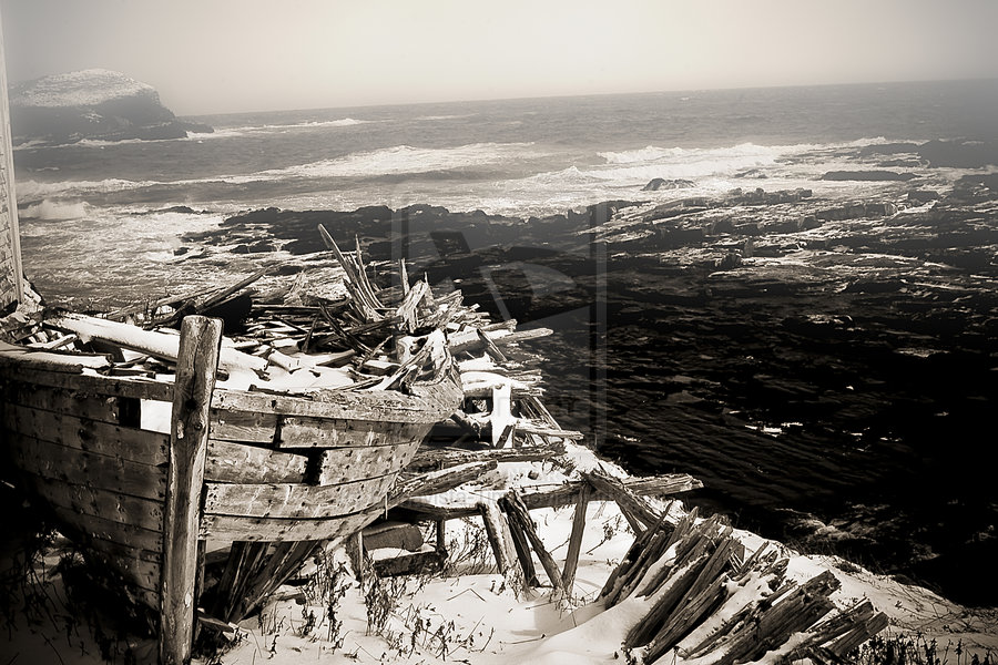 Old Newfoundland Pictures