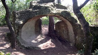 PER CONÈIXER AMB PROFUDITAT L'INSOLIT BOSC DE CANAPOST ON HI HA ELS CLOTS DE SANT JULIÀ.