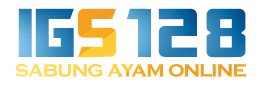 IgAyam303