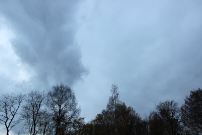 Так же статья фото Санкт-Петербурга 