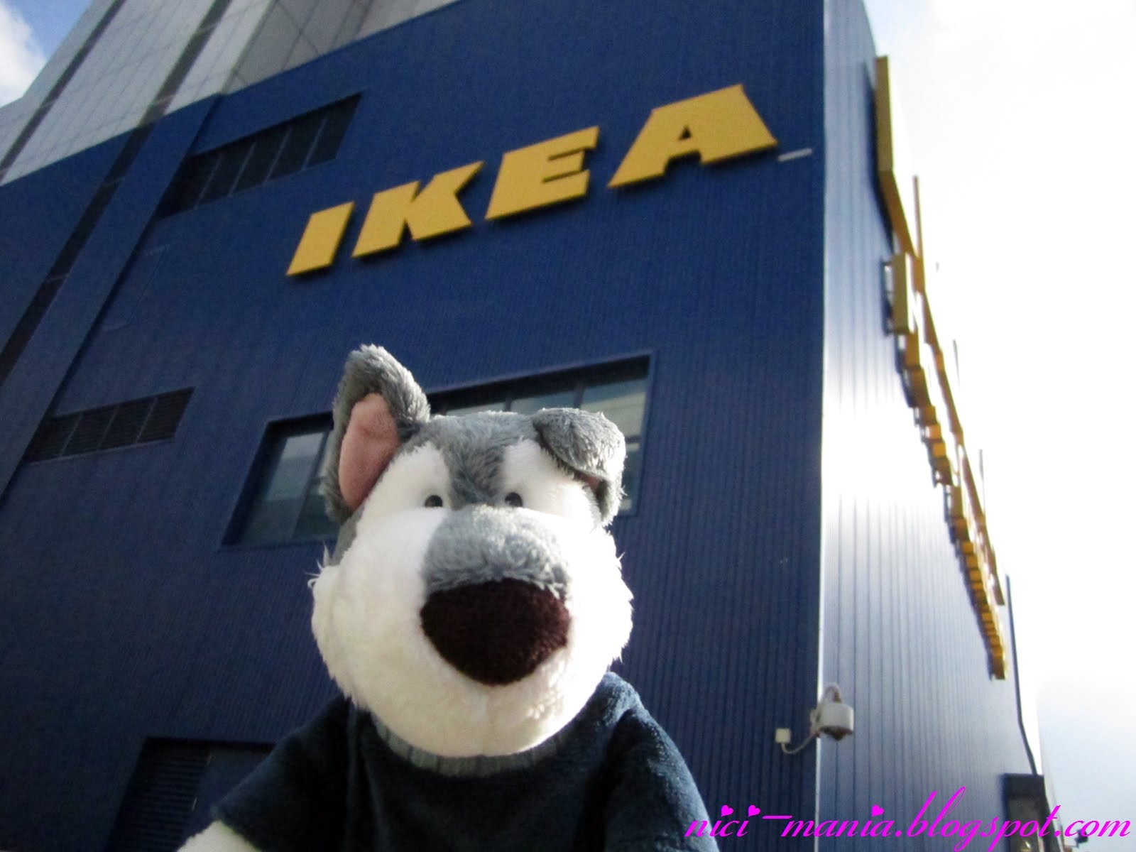 NICIMania i ♥ Love NICI Plush Toys IKEA Furniture Rapture Jack Husky