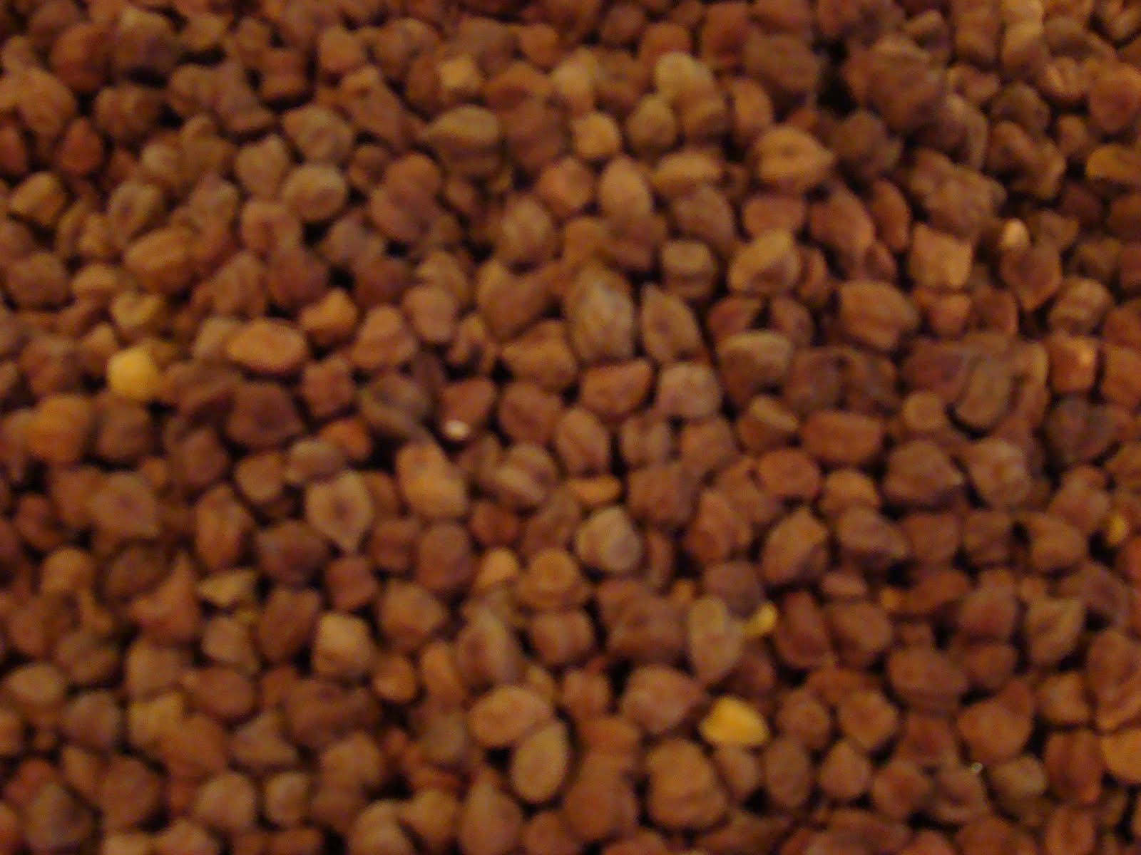 my favorite recipes collection legumes pulses my favorite recipes collection blogger