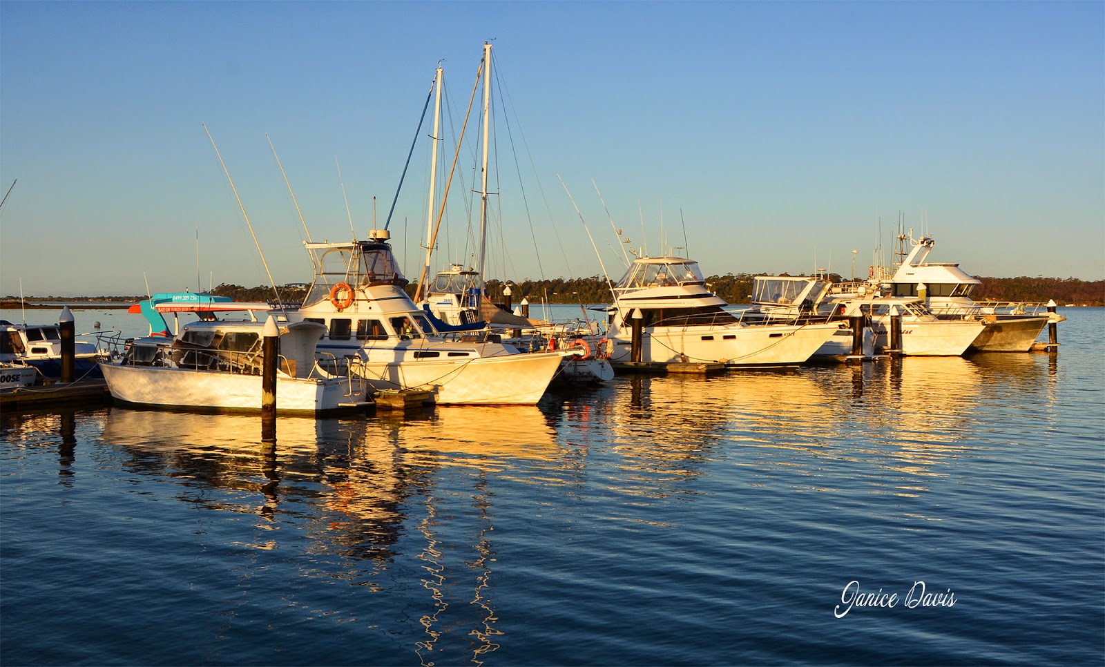 thoughts & happenings: St. Helens, Tasmania.