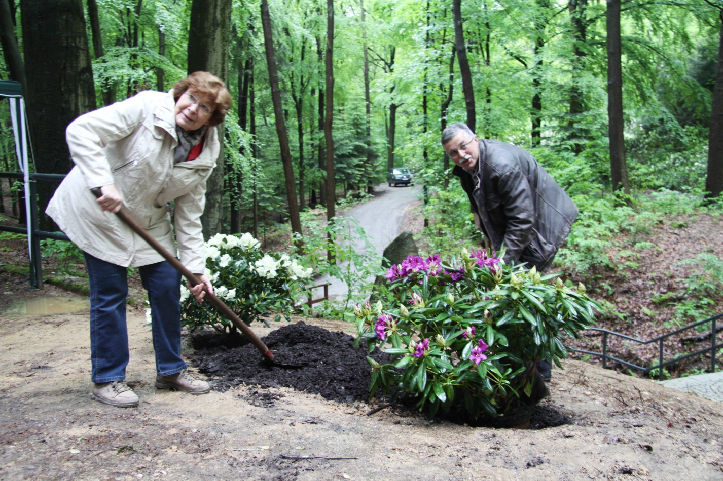 Wetterzentrale Forum Aktuelle Beobachtungen Warnlage Nowcast