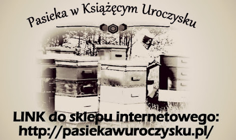 Zapraszamy do naszego sklepu internetowego :)