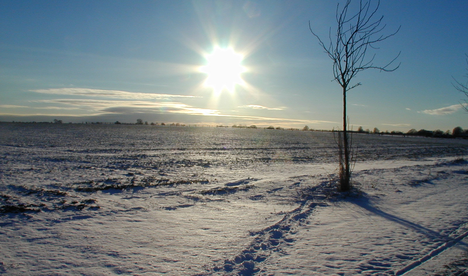 Rosae + Crucis: Solsticio de Invierno 2012
