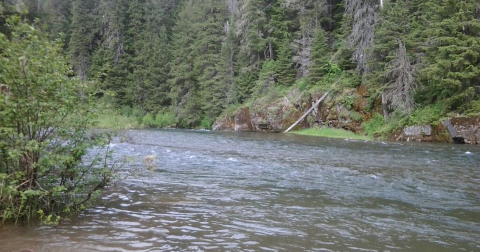 Where I have Fished North Fork Coeur d'Alene River, ID