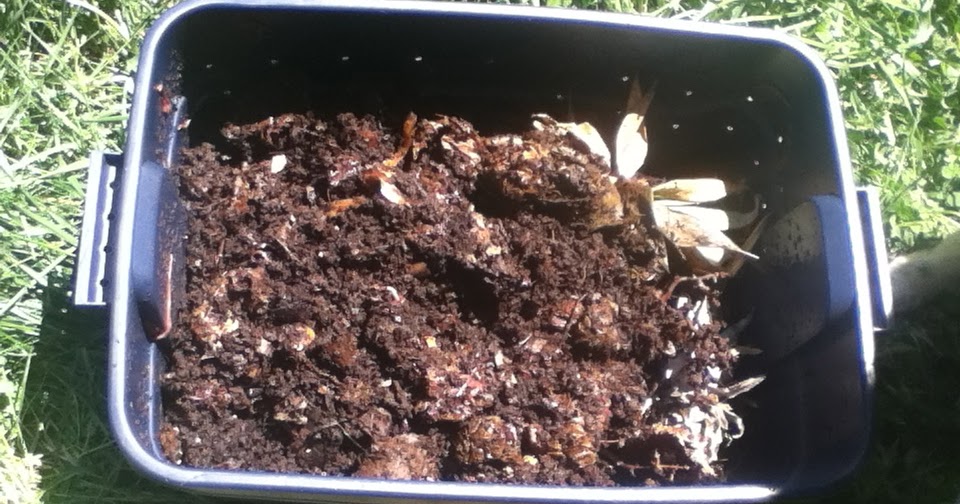 Colorado Mountain Gardener Strategies for Composting in Bear Country