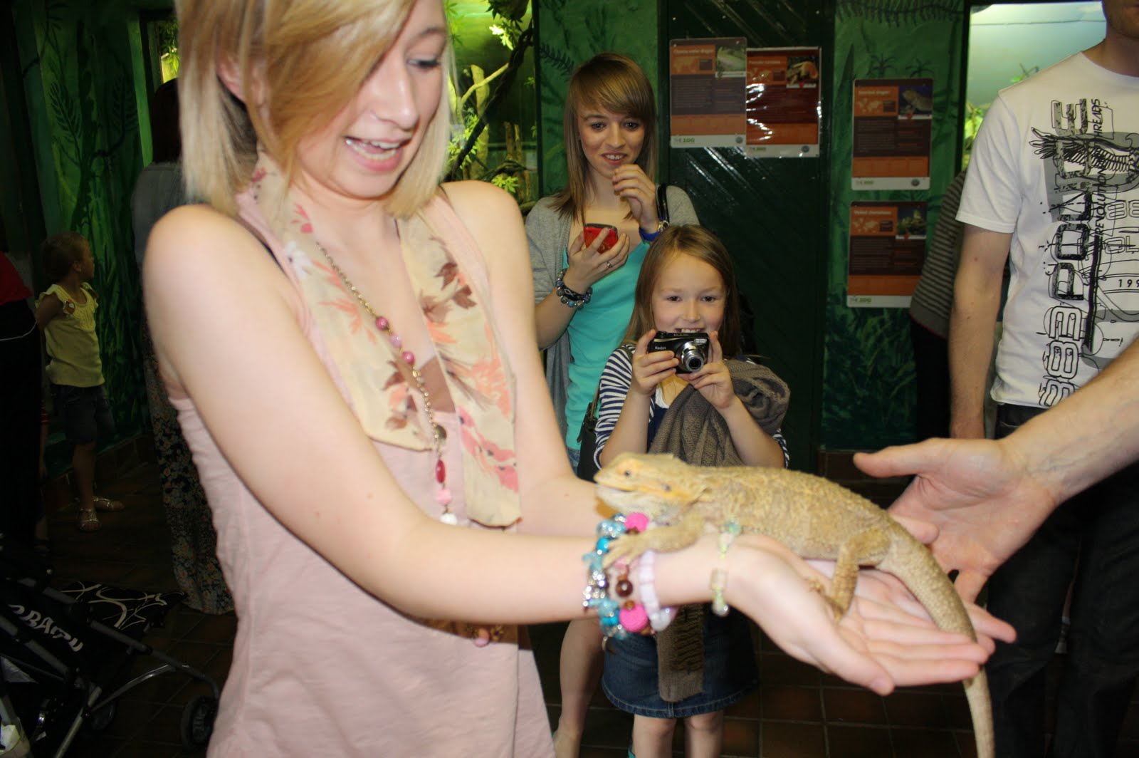 Bearded Dragon Scared