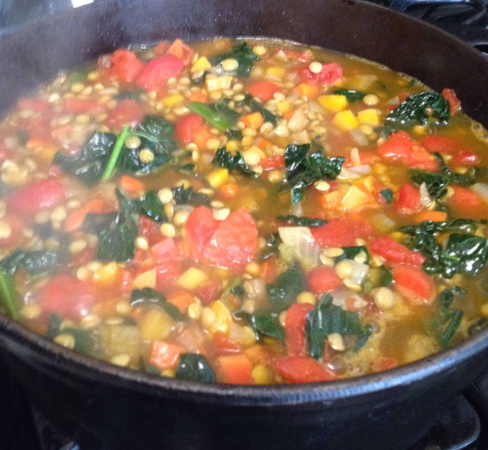 Daniel Fast Vegetable Soup Recipes Bryont Rugs and Livings