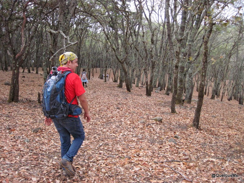 Llegando al Puerto Los Ocotes en la Sierra El Travesaño