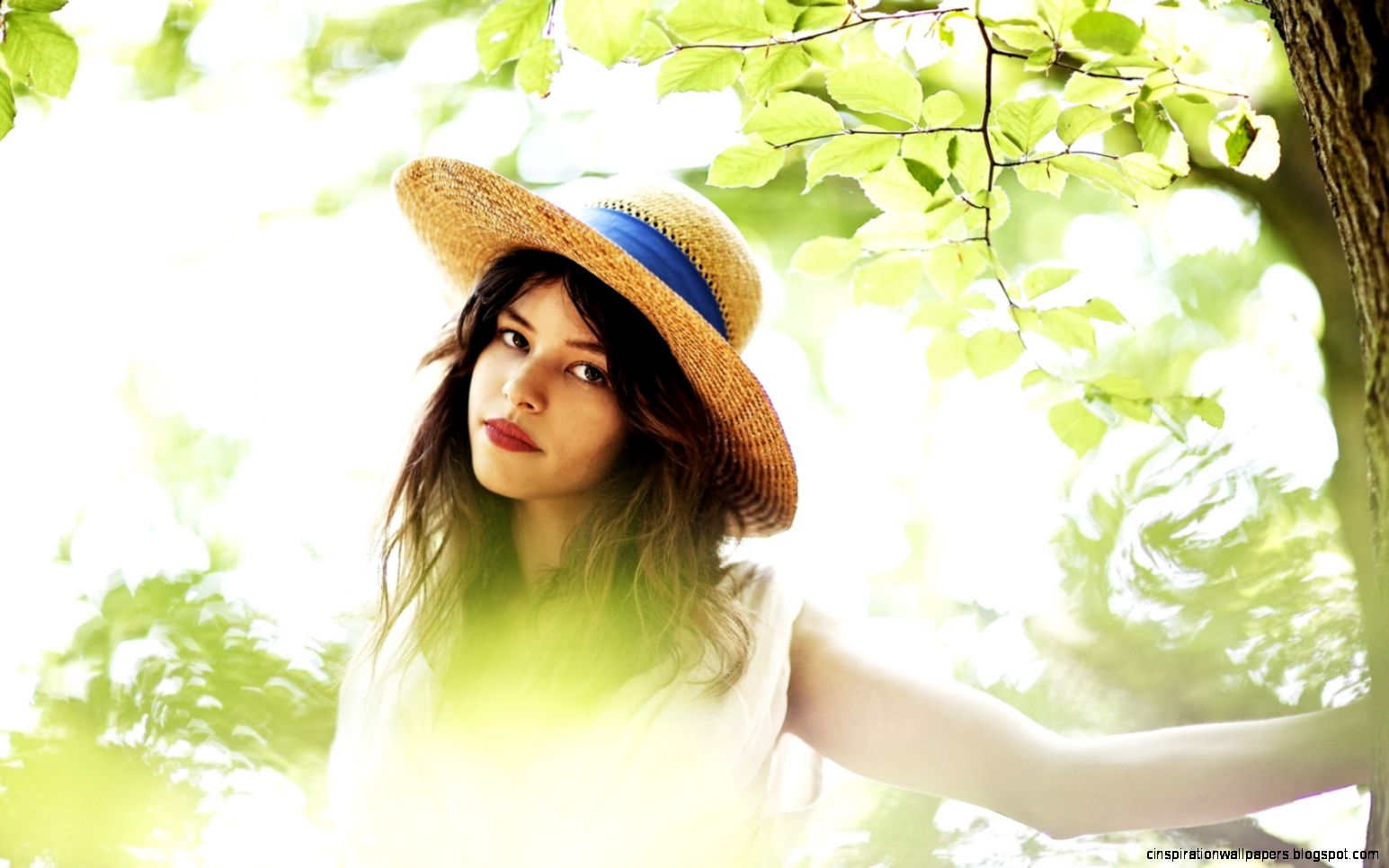 beauty girl dandelion seeds summer plants photography wallpaper beauty girl dandelion seeds summer plants photography wallpaper