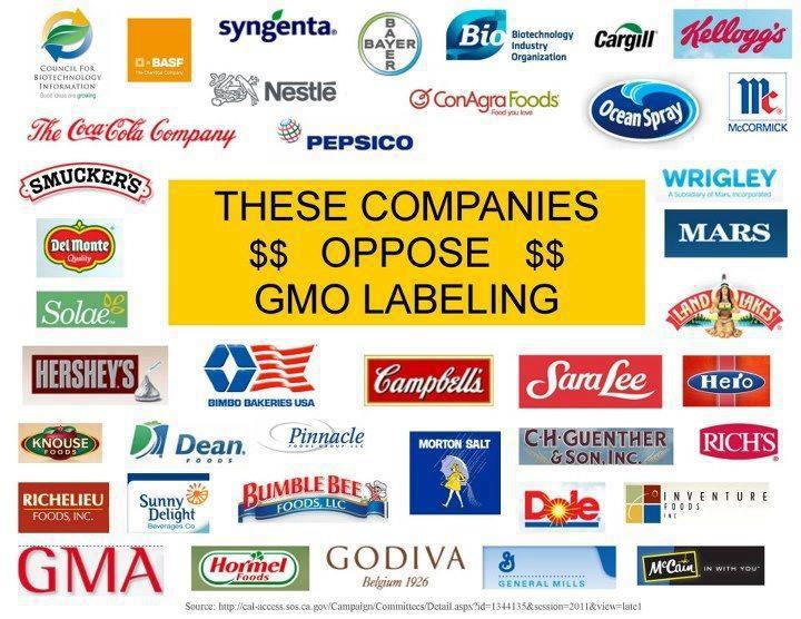 Non Gmo Cat Food Brands Non Gmo Cat Food Brands