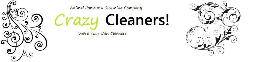 Crazy Cleaning Company