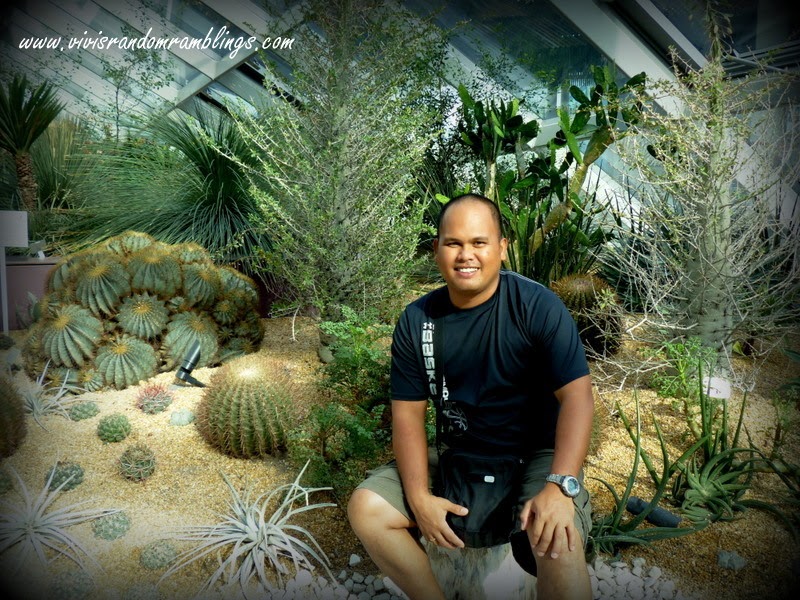 The Flower Dome, Gardens by the bay