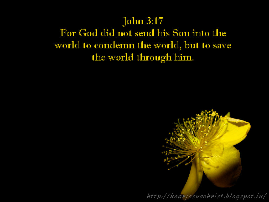 pic new posts: Wallpaper John 3 16
