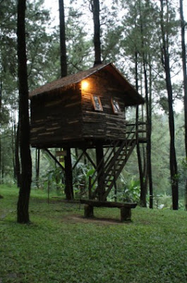 10 Gambar Rumah Pohon Terbaru 2016 10 Gambar Rumah Pohon Terbaru 2016