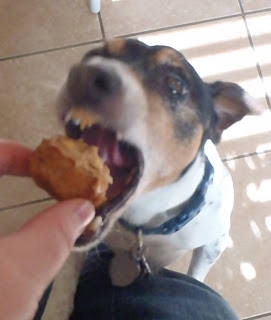 Spec biting pupcake