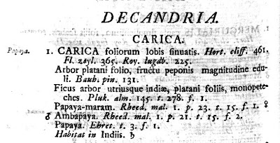 Extract from Species Plantarum for Carica (Left)