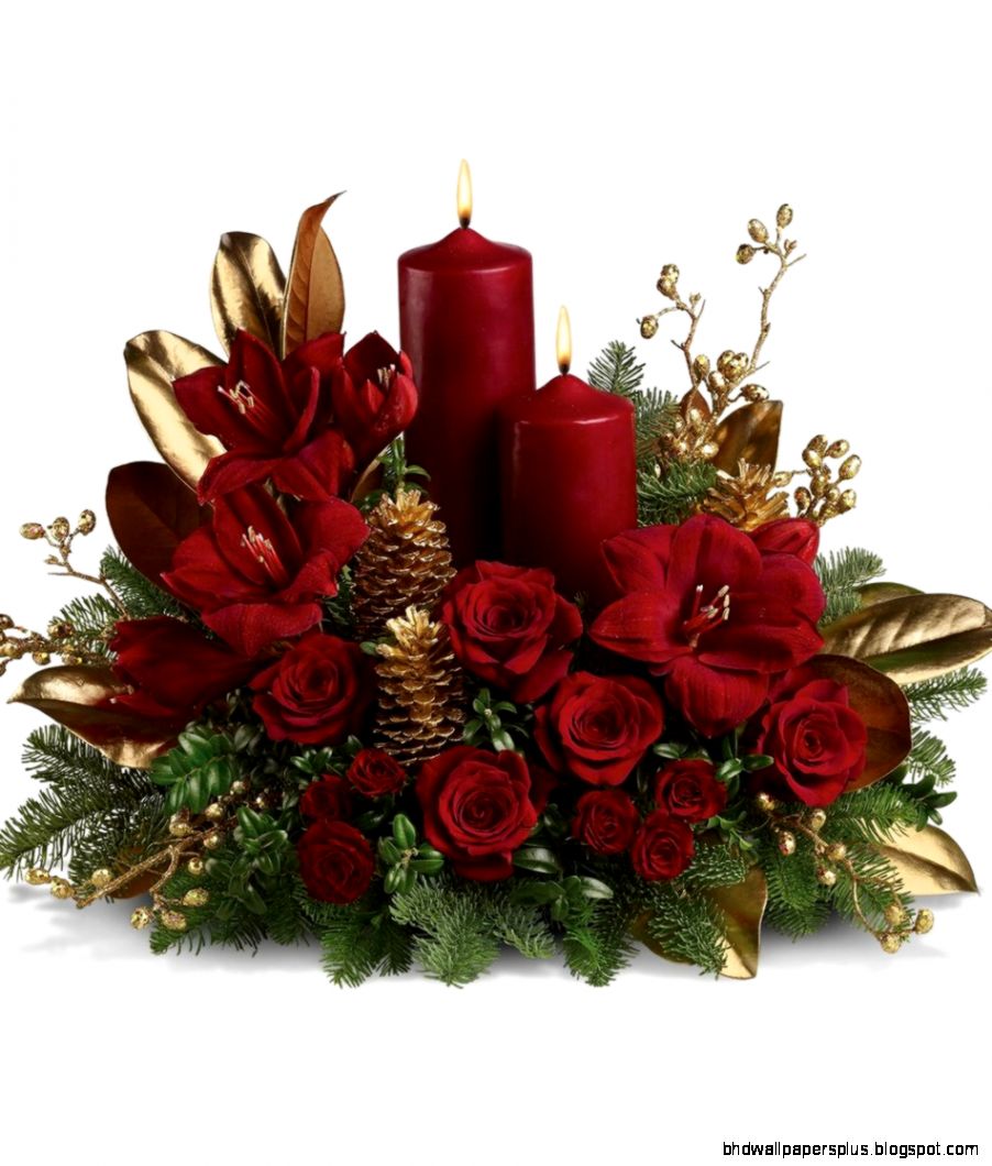 Christmas Flowers Christmas Flowers