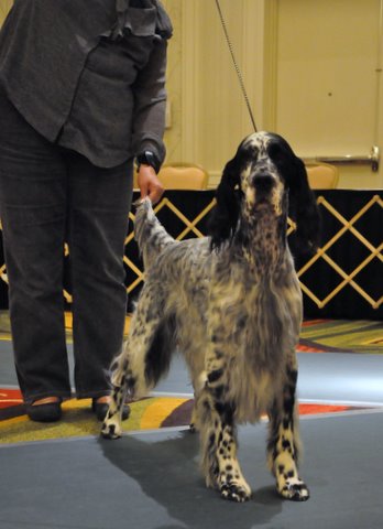Experiencing Los Angeles Tagging At Venice Beach