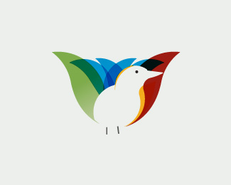 Bird Logo Design Bird Logo Design