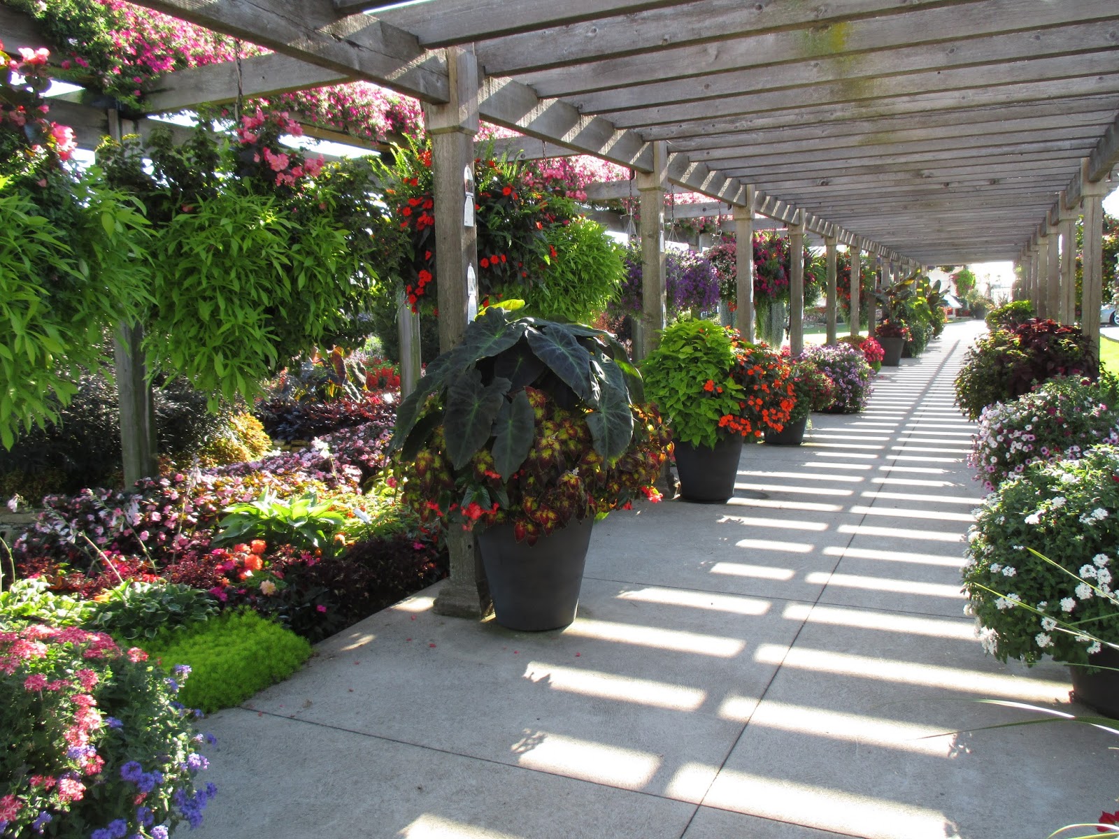 Four Star Greenhouse Trial Garden Rotary Botanical Gardens