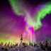 Shimmering Aurora in Enigmatic Lapland, Finland