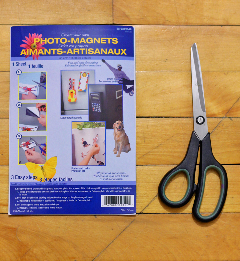 The Curious Mr. Bee D.I.Y. Polaroid Frame