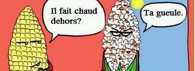 Quoi manger quand il fait chaud Quoi manger quand il fait chaud