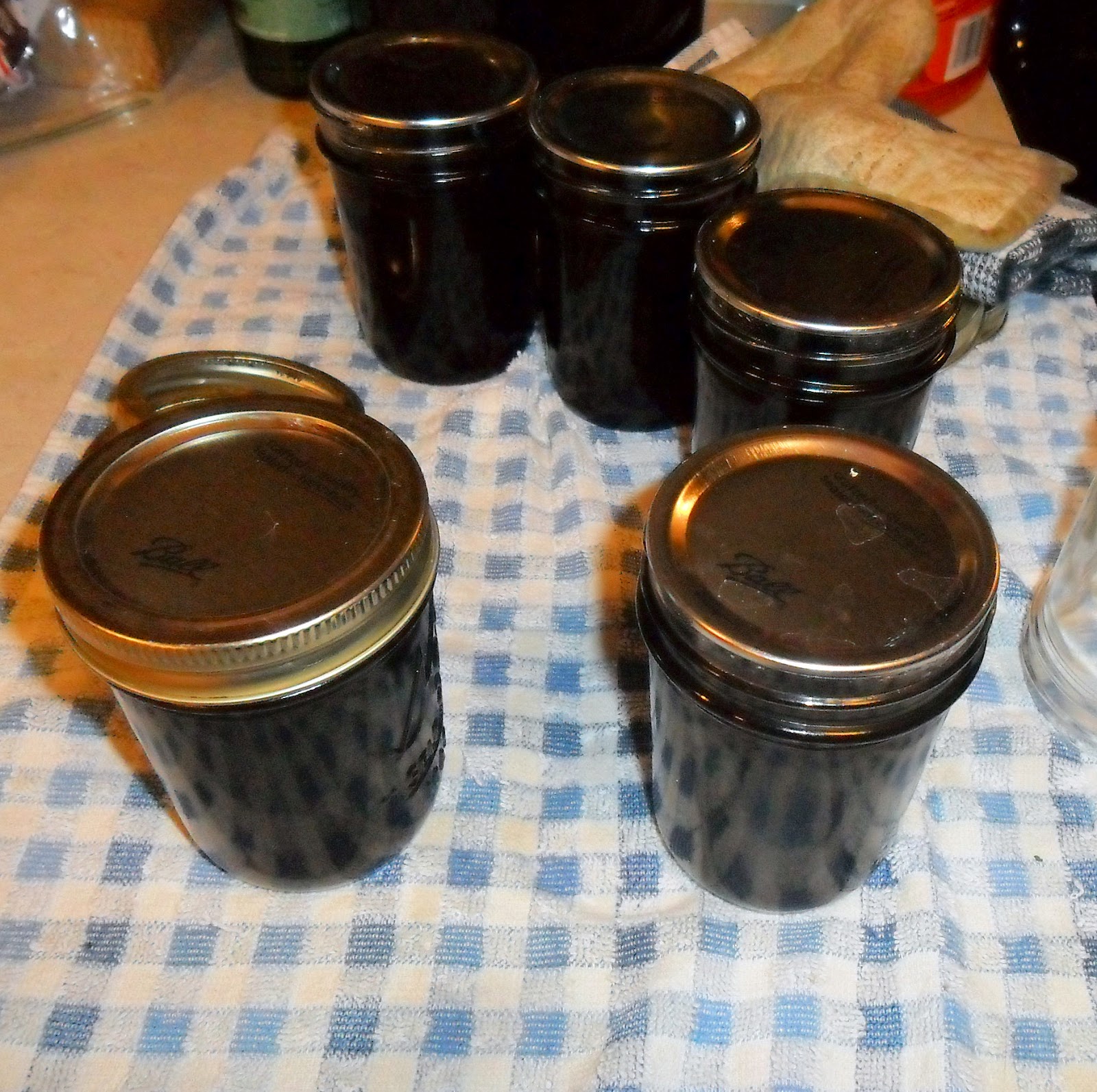 Backyard Patch Herbal Blog How to Purple Basil Jelly