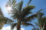 There is a part of Florida that is so different that any other part of . (img )