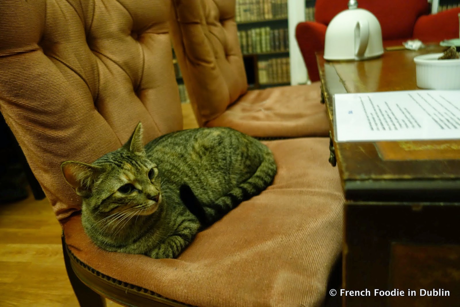 Taste of Paris Le Café des Chats (The Cat Café) (75003) French