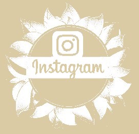 Suivez-moi sur Instagram :