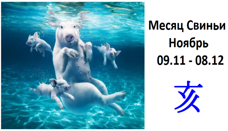 Эффективный метод коррекции фигуры Эффективный метод коррекции фигуры