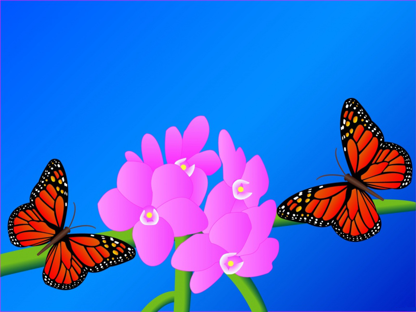 http://3.bp.blogspot.com/-wQr2SjA7OLc/TzmBYKQPO5I/AAAAAAAAEZQ/lD2RrryBPuM/s1600/The-best-top-desktop-butterflies-wallpaper-hd-butterfly-wallpaper-13.jpg