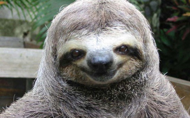 dejta som ensamstående mamma ulrika