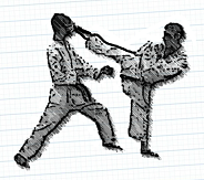 karate; lovitura de picior asupra capului adversarului; lovitura mortala; puternica; saritura cu piciorul