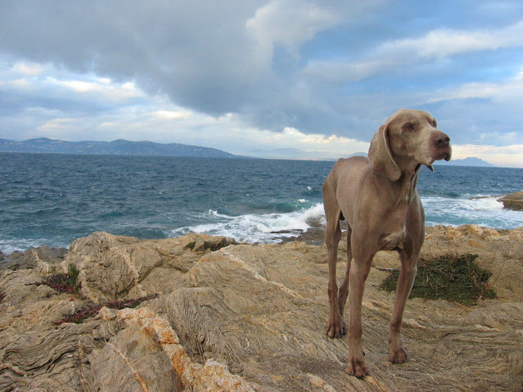 Eliot - In the Gulf of St Tropez - France