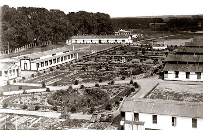 Aerial view of the Groningen Internment Camp, showing low huts arranged around a garden with paths and shrubs.  There is a wood in the background beyond a high fence