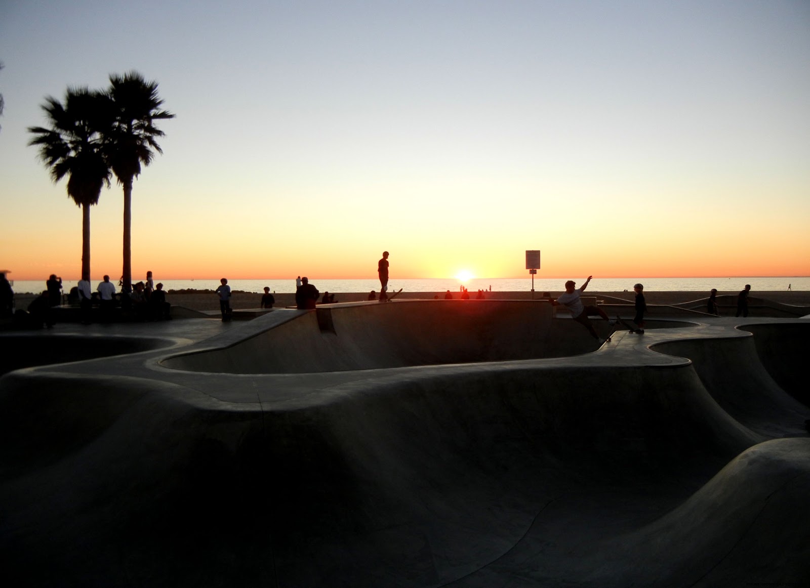 Venice Beach Skate Park Venice Beach Skate Park