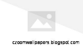 Image Cute Dog dogs 13286656 1024 768 The Lord of the Image Cute Dog dogs 13286656 1024 768 The Lord of the