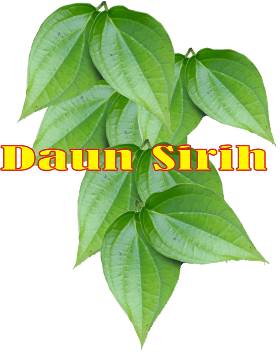 Reng Mdureh June 2012