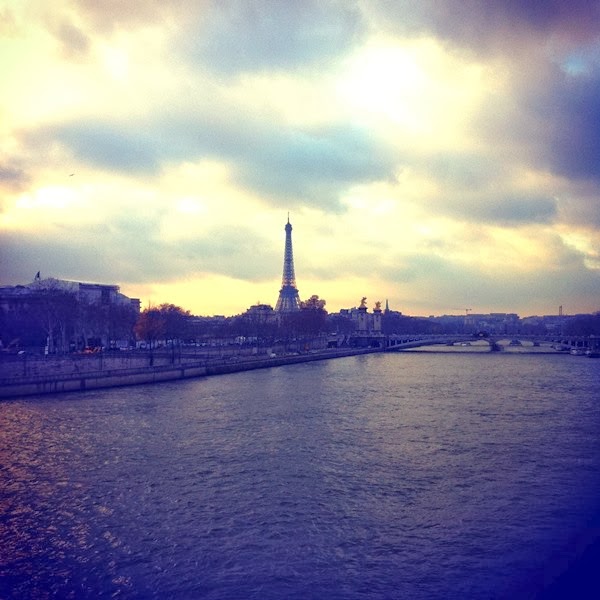 View of the Eiffel Tower and the Seine in Paris