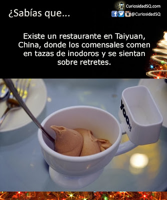 ¿Sabías que?: Existe un restaurante en China, donde los comensales