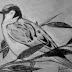 Sparrow (Charcoal work)