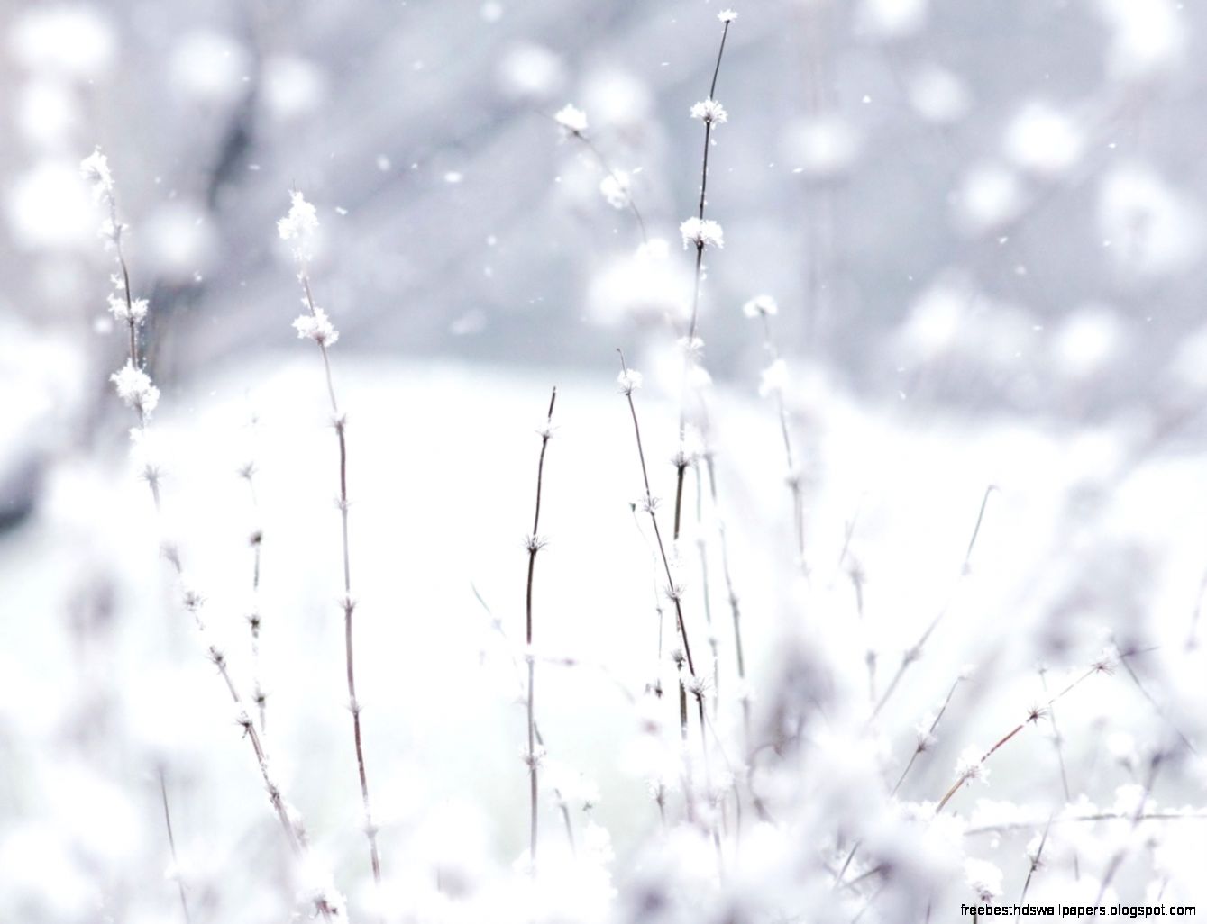 Snow HD desktop wallpaper High Definition Fullscreen Mobile Snow HD desktop wallpaper High Definition Fullscreen Mobile