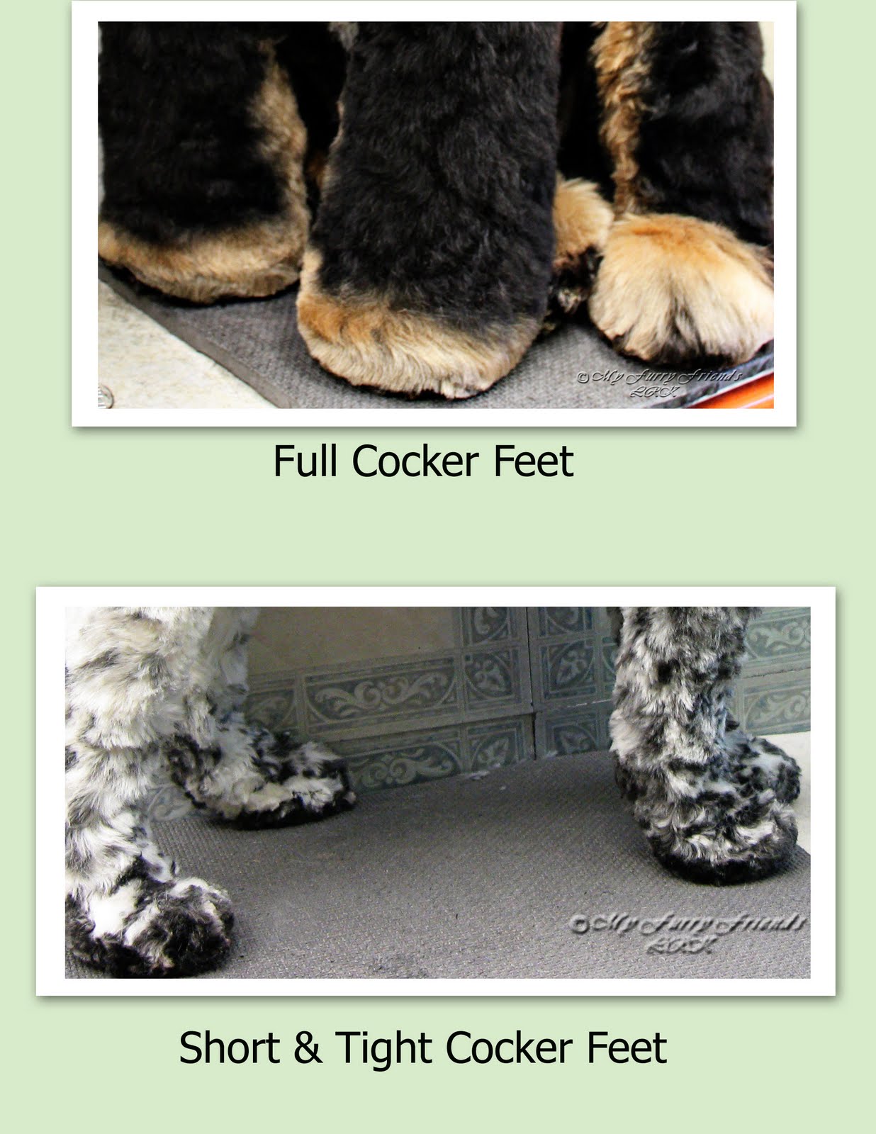 Pet Grooming The Good, The Bad, & The Furry Tuesday's Tip 21 Trimming